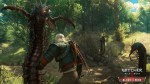 the witcher 3 blood and wine 3