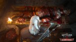 the witcher 3 blood and wine ps4